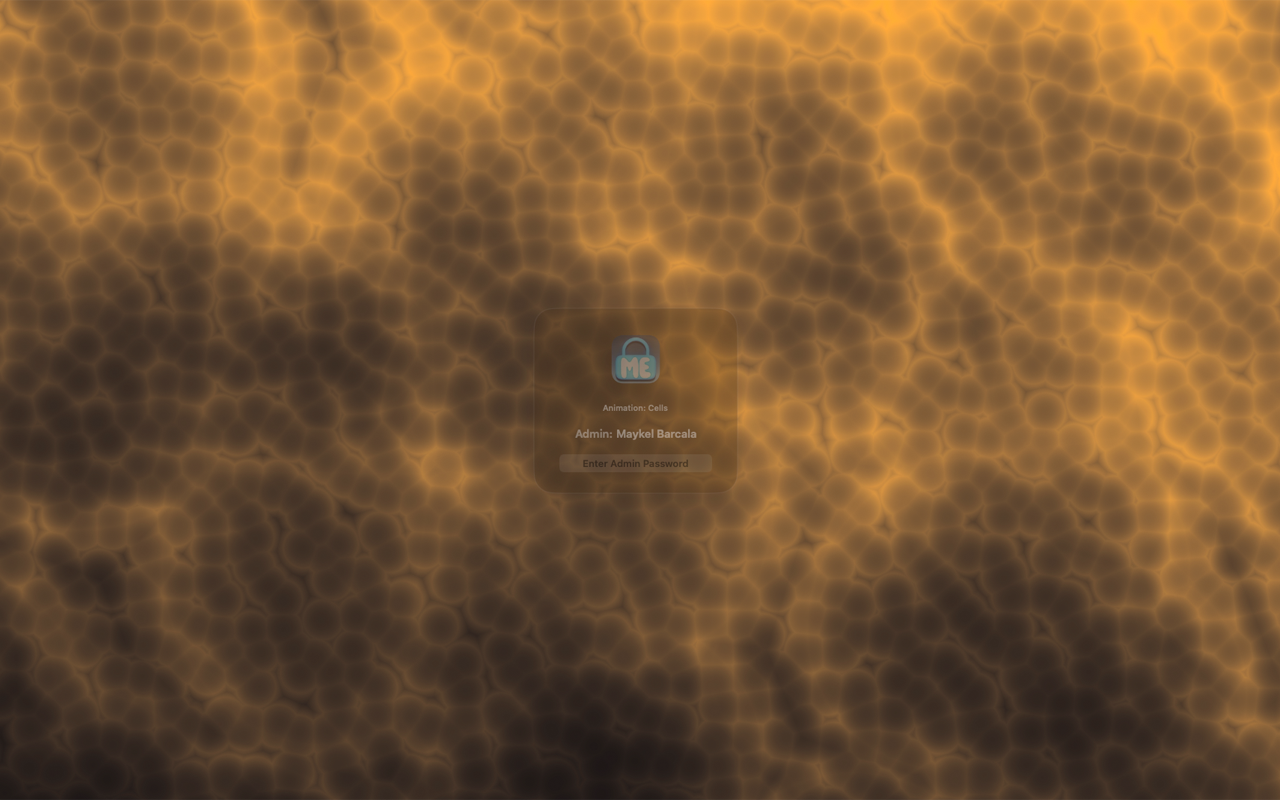 LokMe preview screen