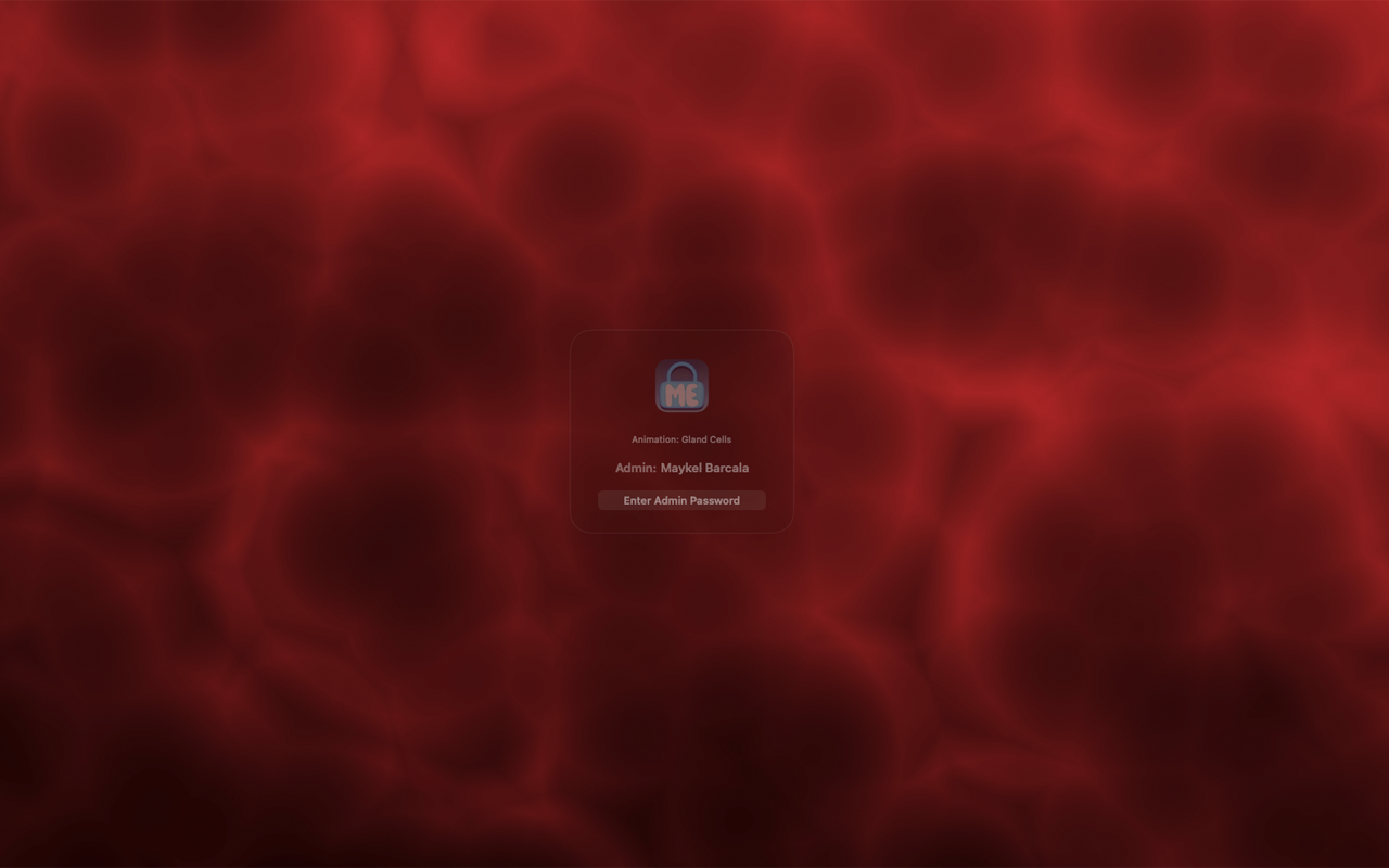 LokMe preview screen